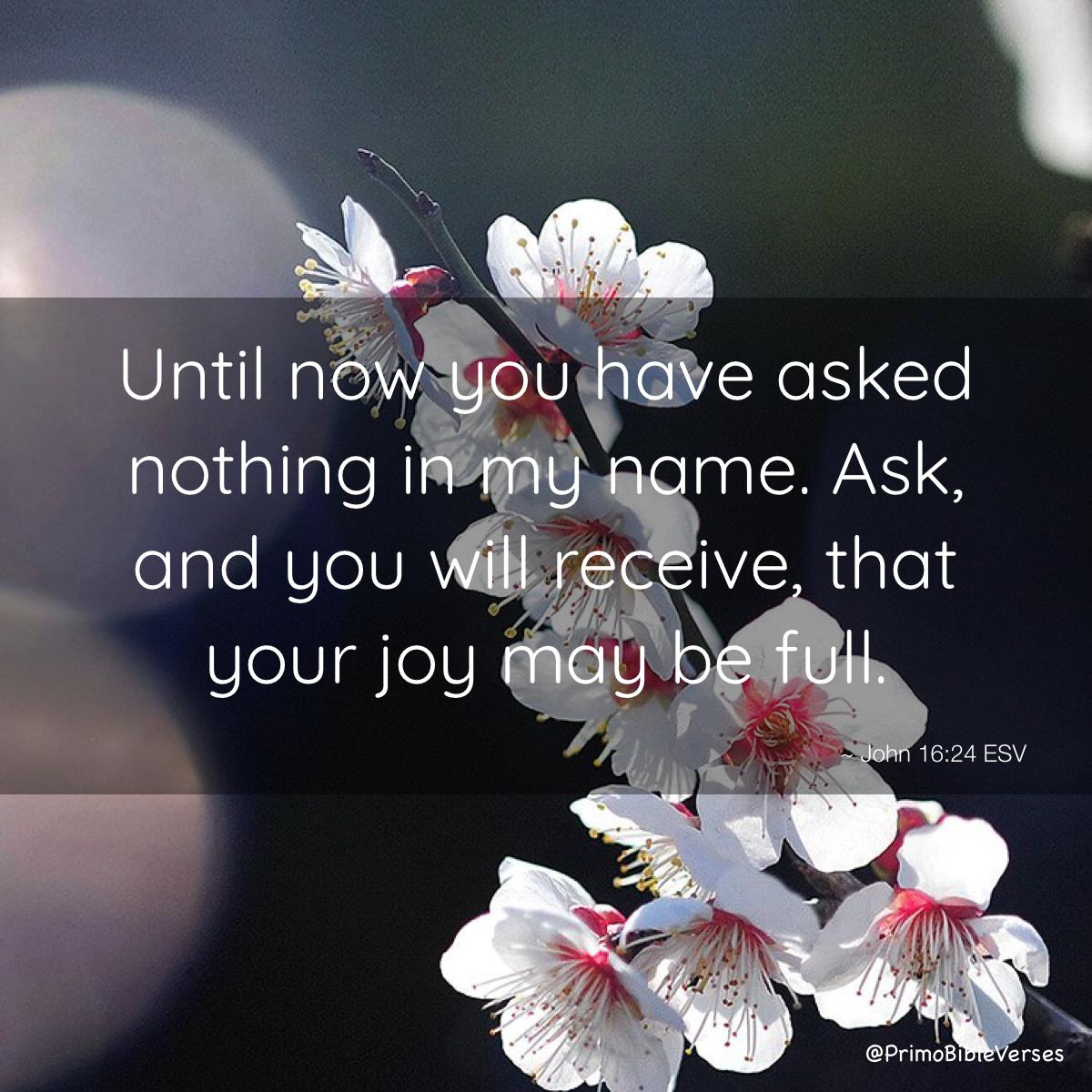 Primobibleverses John 16 24 Kjv Bible Bibleverse John Drivingverses Prayverses T Co 10xahexyin Primobibleverses John 16 24 Kjv Bible Bibleverse John Drivingverses Prayverses T Co 10xahexyin
