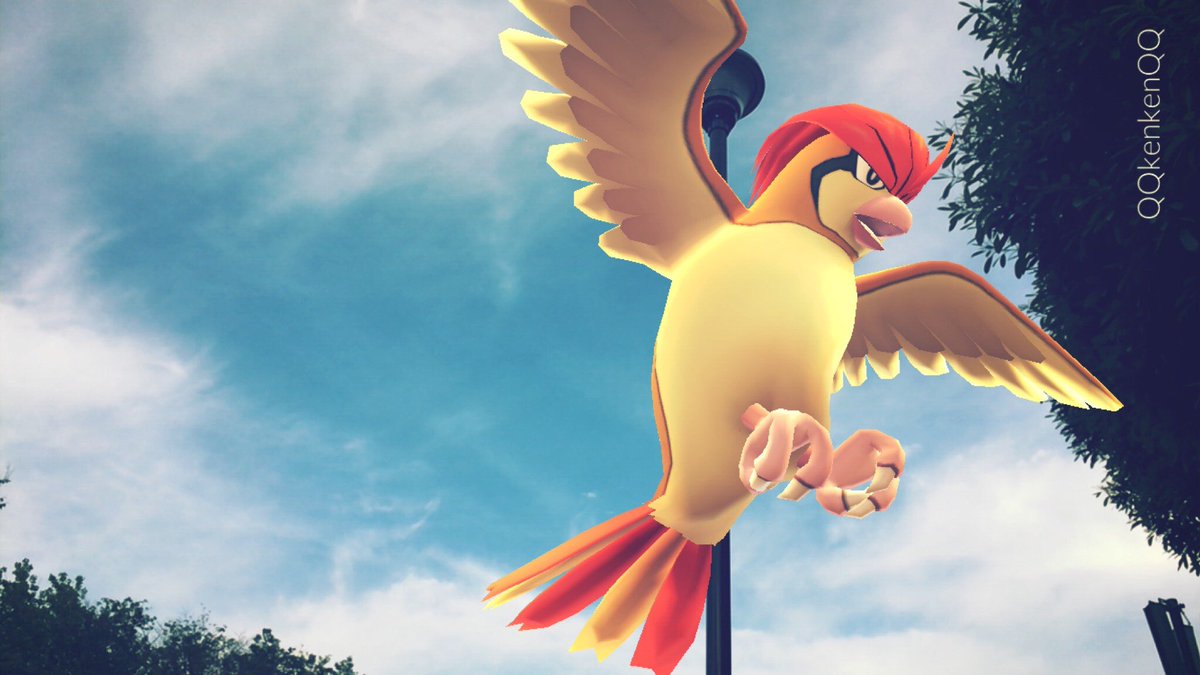 ポケモンgo ピジョン イメージポケモンコレクション
