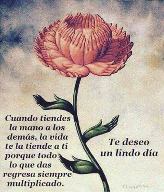 Paz Interior on Twitter: Paz Interior on Twitter: