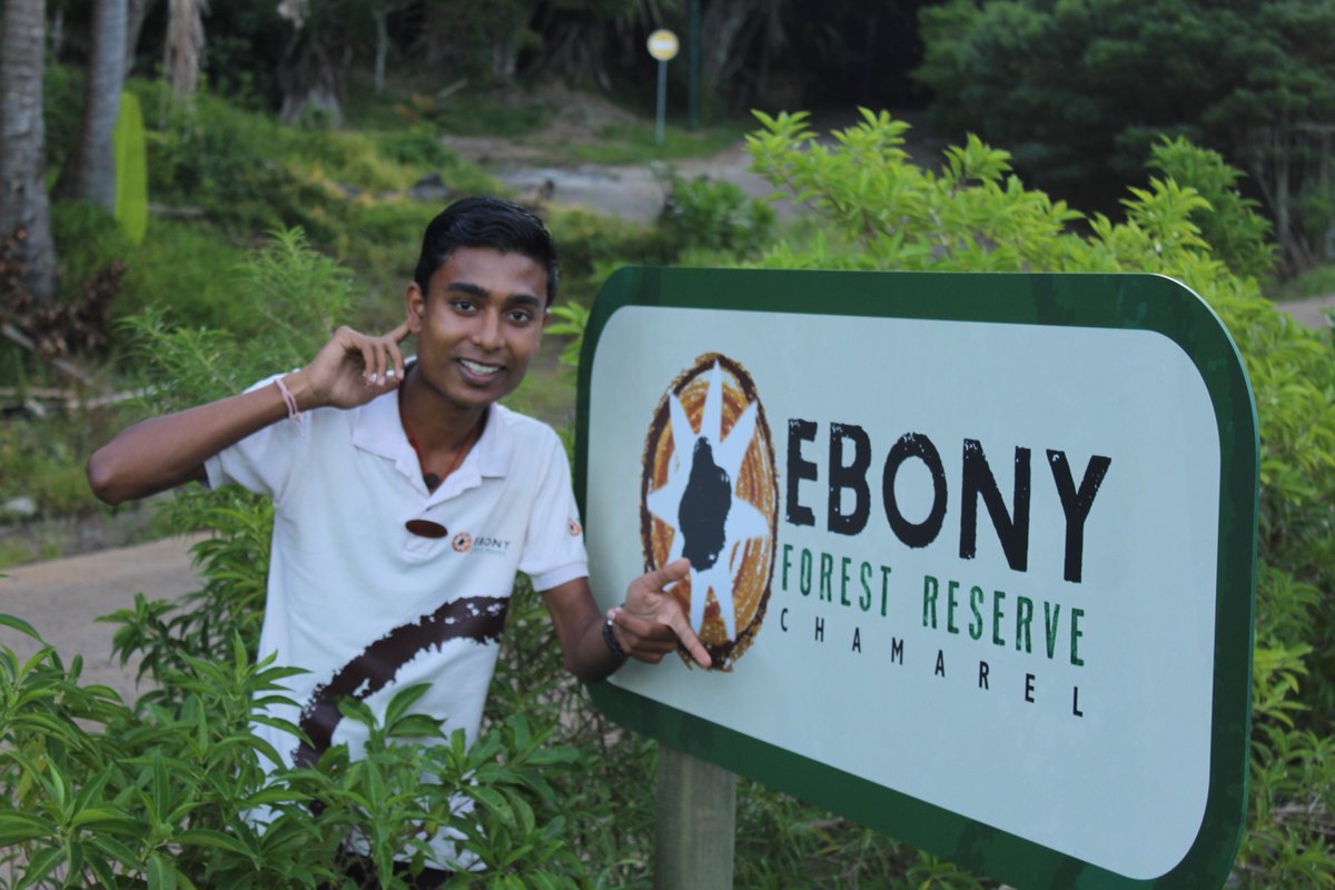 Ebony Forest Reserve tweet media