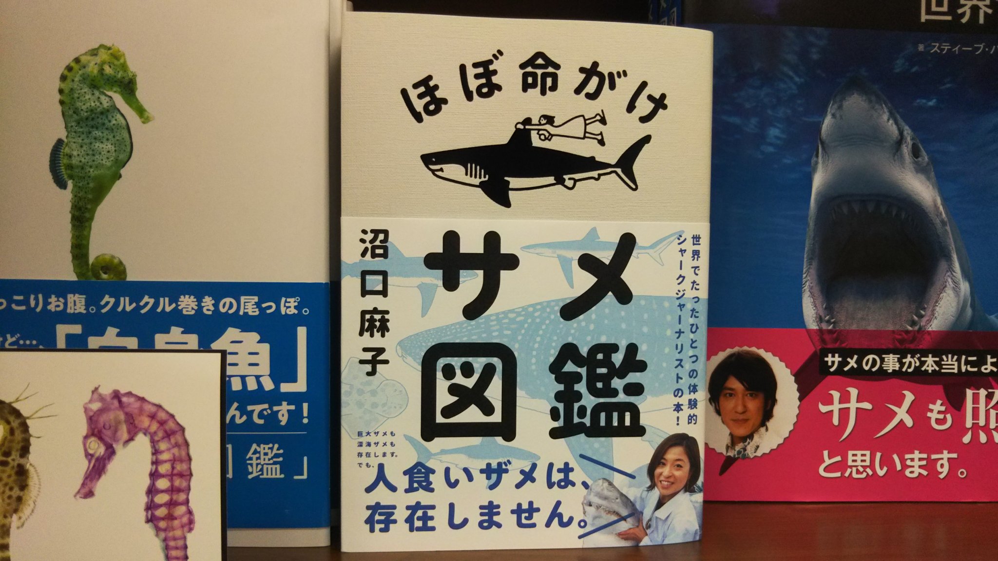 Maruzen ジュンク堂書店 梅田店 茶屋町 オススメ ほぼ命がけサメ図鑑 講談社 人を食べる という印象が強いサメ これは真実なのでしょうか サメの真の姿を伝えるべく 実際に海を旅して 見て 触れて 食べて書かれたサメづくしの本です