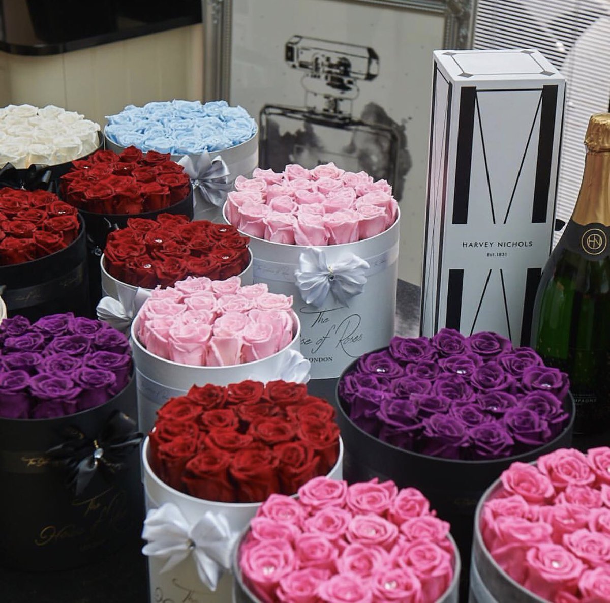 ellielotinga_makeup tweet media