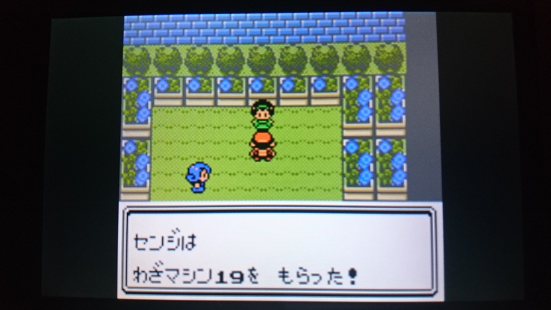 センジ ギガドレイン といって あたえた ダメージの はんぶんが ポケモンの えいように なる すばらしい わざ です よろしかったら おつかいに なって タマムシシティ ポケモンジム ジムリーダー エリカ ポケモン金銀 ボイスチェッカー T Co