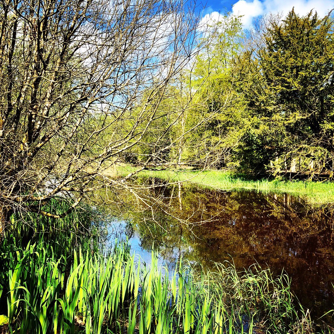 LaoisLoving's tweet photo. @eoinbarry Emo Court &amp; Gardens https://t.co/e28SLSo9SM