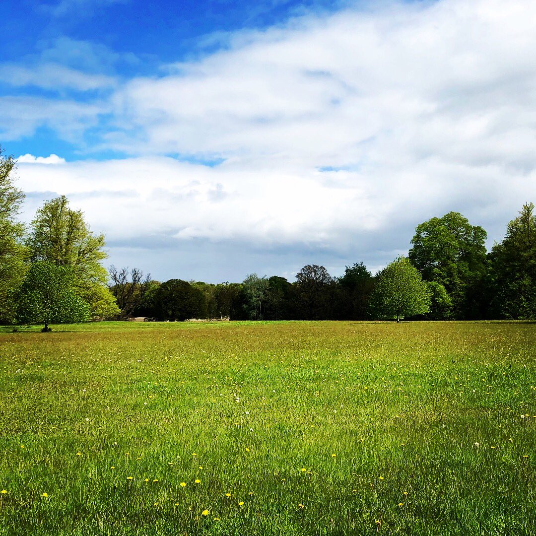 LaoisLoving's tweet photo. @eoinbarry Emo Court &amp; Gardens https://t.co/e28SLSo9SM