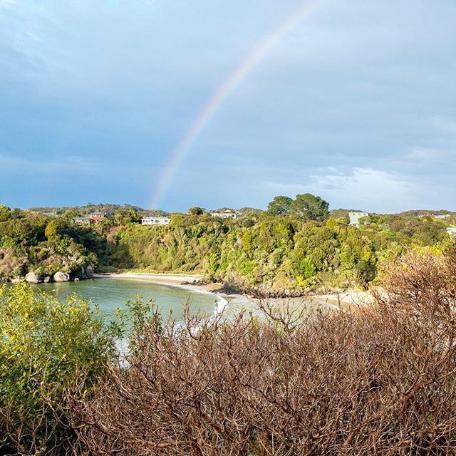 After a super rough ferry ride to Stewart Island I set out the next day to go on my first solo multi-day hike. Turned out: the Rakiura Great Walk was the perfect track to do so. And even before I reached the official starting point of the hike I was rewa… ift.tt/2jPHtGU