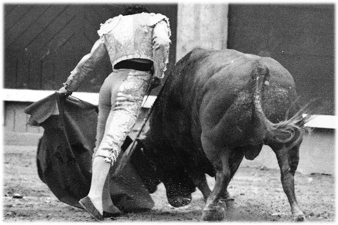 Maxi_Perez_'s tweet photo. Y quince años después del toro "Clarín"... Manzanares volvió a triunfar en Madrid, con "Fulanillo", de Glez. Sánchez-Dalp. Fue la Puerta Grande de la rendición, la tercera de su carrera, la más sufrida, la más saboreada. #ElEsporton #Maxipedia https://t.co/fLPQxscczx