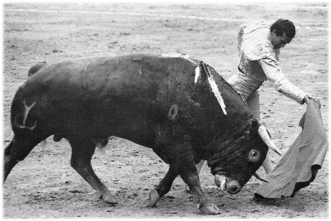 Maxi_Perez_'s tweet photo. Y quince años después del toro "Clarín"... Manzanares volvió a triunfar en Madrid, con "Fulanillo", de Glez. Sánchez-Dalp. Fue la Puerta Grande de la rendición, la tercera de su carrera, la más sufrida, la más saboreada. #ElEsporton #Maxipedia https://t.co/fLPQxscczx