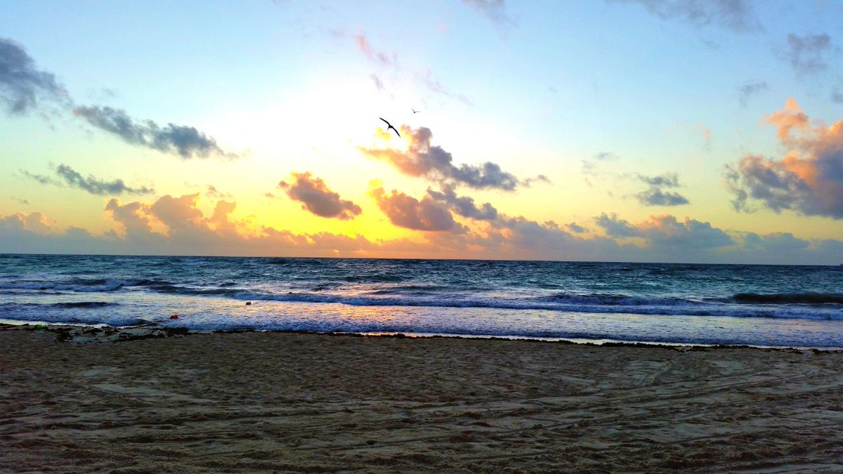 ReiseStrolch's tweet photo. Mit diesem Sonnenaufgang am Strand von Mexiko wünschen wir euch einen guten Start in den Tag! 🇲🇽🌍🌞✈#SummerVibes #travel #bagpack #weltreise #timeout #coupletime #bestplace #picoftheday #Vlog #reiseblog #palmen #mexico #yucatan

Hier geht's zum Blog -> https://t.co/LpwmjMfgUL https://t.co/a0Ul44PLwg