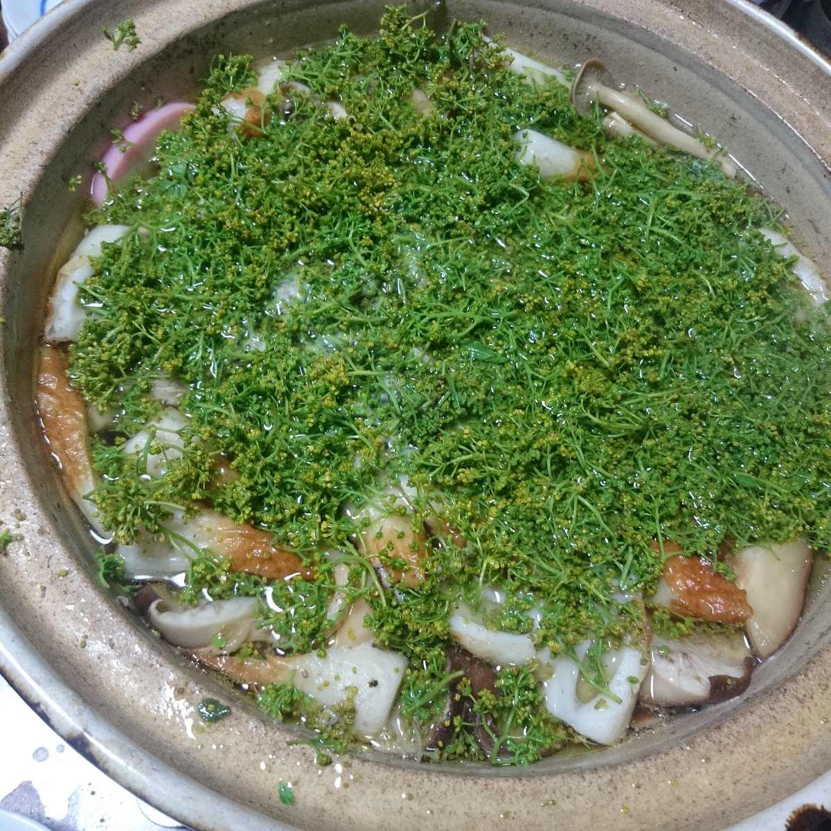 花山椒鍋 بحث في تويتر 花山椒鍋 بحث في تويتر