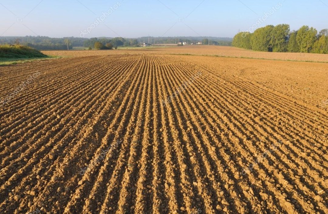 Cdecampo1's tweet photo. Hoy estamos en un no parar,y gracias a @100cyCdeCountry  que nos ha cedido un tractor nuevo hemos podido arar nuevas tierras para nuevas plantaciones!
Que os gustaría que sembrasemos? https://t.co/jc5LeJZCwq