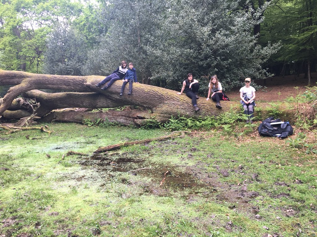 Sophie Charde tweet media