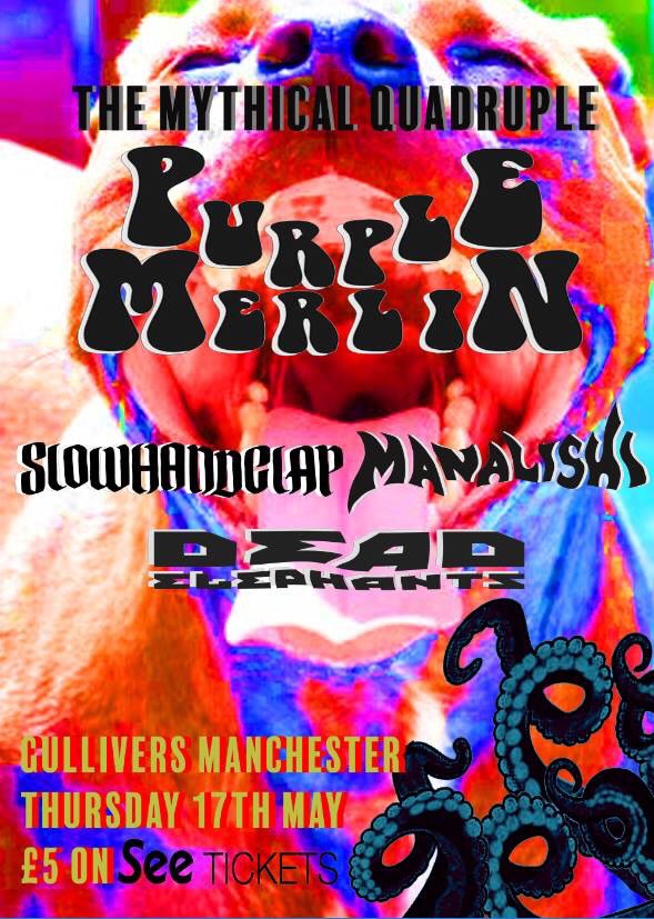 Purple Merlin tweet media