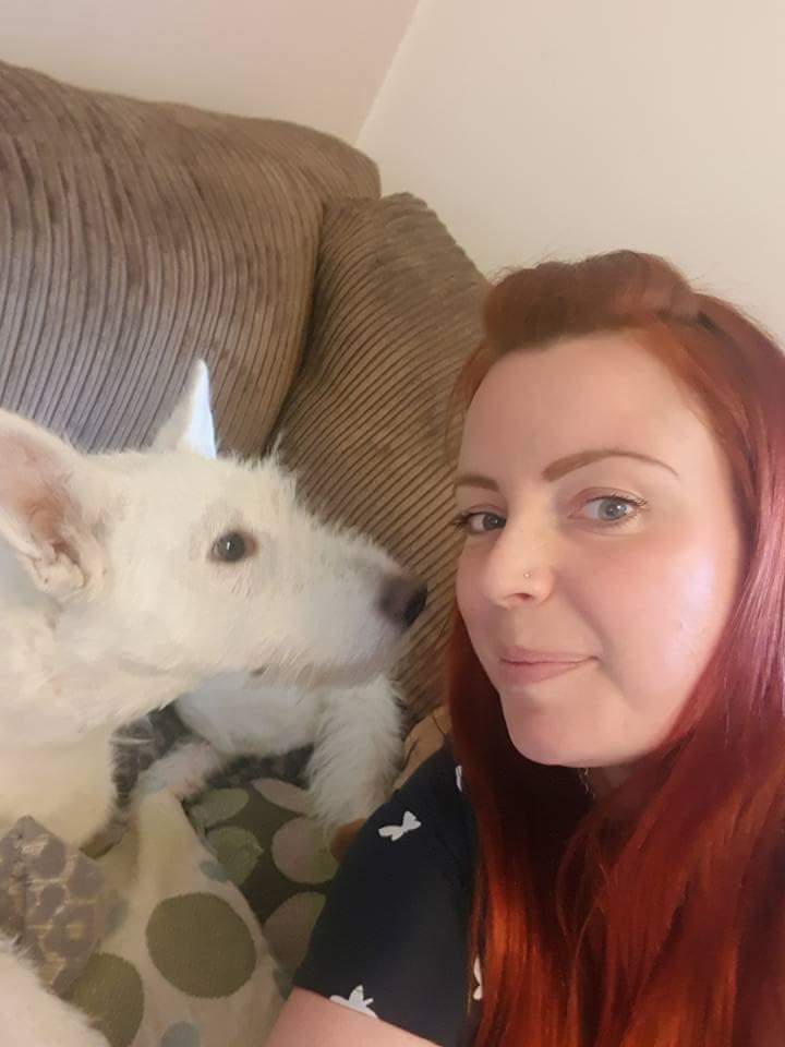 AnimaladoptionI's tweet image. Ooh.... look at brave Raffles... I think she wants to be a #sofadog too! 😍😍 #adoptdontshop #rencockett #romaniandogs  @nizzywhiz