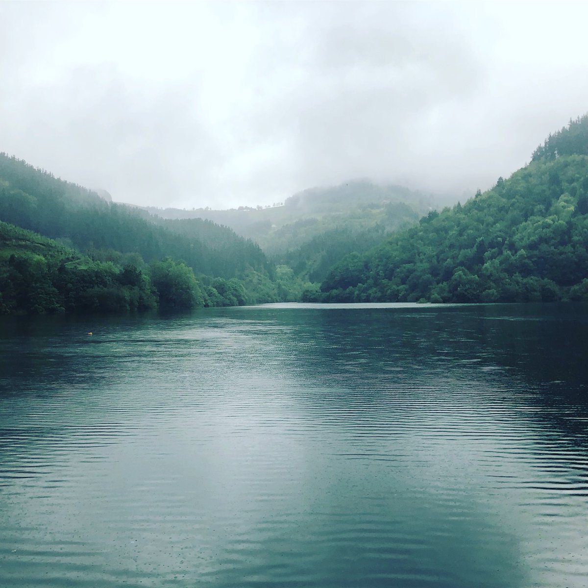 acondemellado's tweet photo. It’s raining
It’s green
It’s Goierri
It’s sexy and you now it
#running #workuot #underrain #wet #goierri #sport #arriaran #watercolor #mud 
#nature https://t.co/TNAtrkXwkM