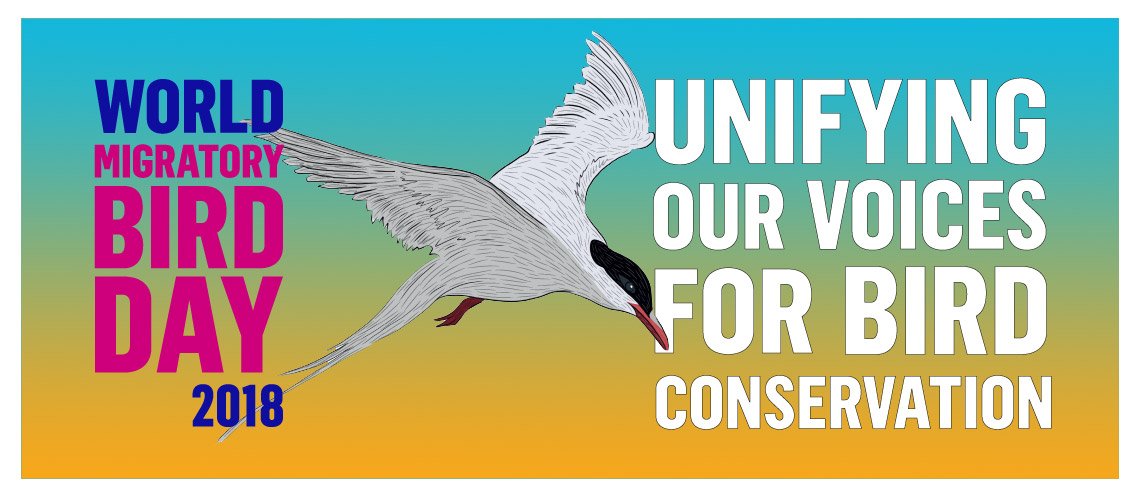 BUGÜN DÜNYA GÖÇMEN KUŞLAR GÜNÜ
tüm dünyada 12-13 Mayıs’ta kutlanacak. Siz de bir etkinliğe katılmak isterseniz, Türkiye'deki ve dünyadaki etkinlikler için: worldmigratorybirdday.org/events-map