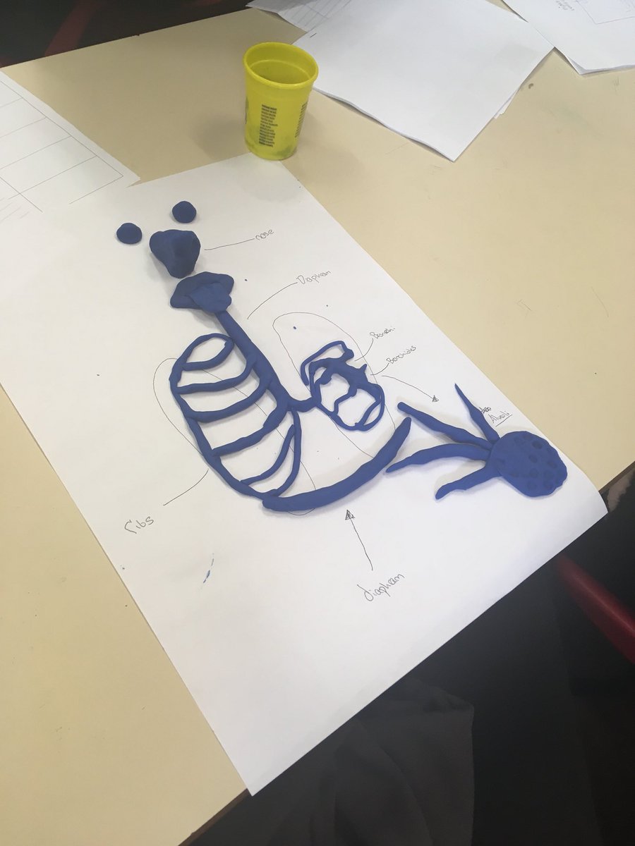 TPS_PE's tweet image. Hard at work! #GCSEPErevision #saturdaymorning @TPS_Hitchin