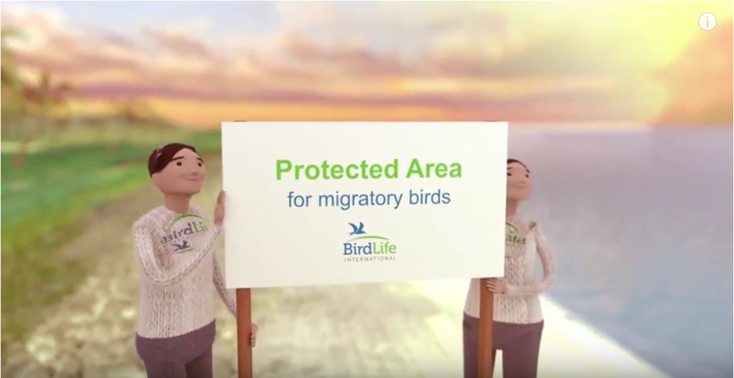 BUGÜN DÜNYA GÖÇMEN KUŞLAR GÜNÜ
Kuşların Korunması için Seslerimizi Birleştiriyoruz.Dünya Göçmen Kuşlar Günü, 2006’dan beri mayıs ayının ikinci hafta sonu tüm dünyada, göçmen kuşların ve yaşam alanlarının korunmasına yönelik farkındalık yaratmayı amaçlayan etkinliklerle kutlanıyor