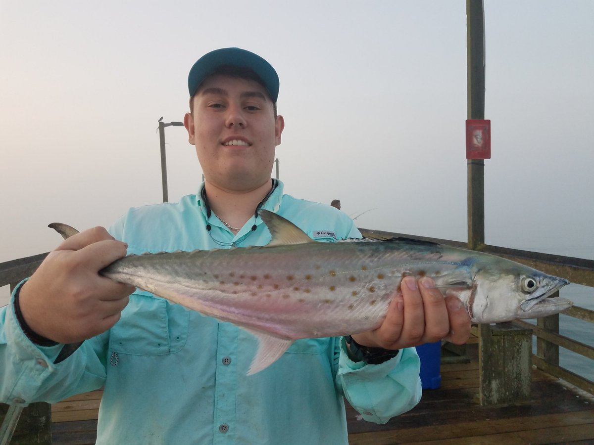 SurfCityPier's tweet photo. #SaturdaySuprises at #SurfCityPier currently 68° with a SSW at 2mph.. the tide is high.. low is at 12:38pm... catching a few blues, Spanish and mullet #FishHuntPhotos #IslandLife #PierLife #FoggyStart https://t.co/HVJUjjtwCm