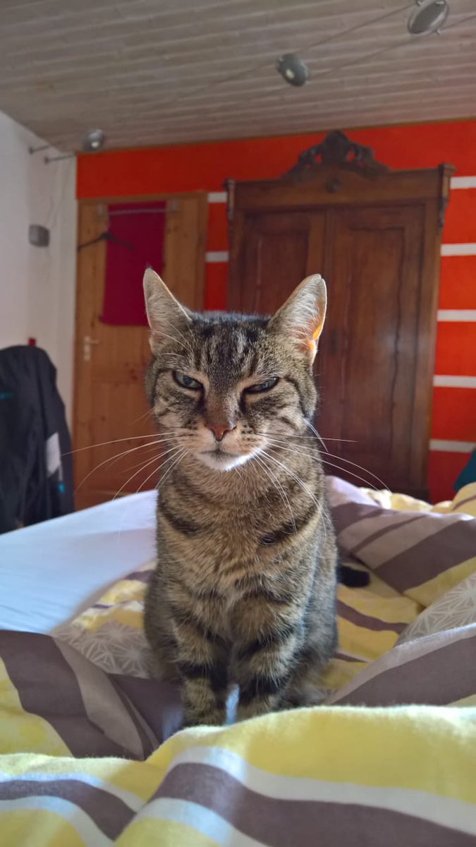 FabianGosebrink's tweet image. I just can&apos;t work like that! #dotnetday18 #preparations