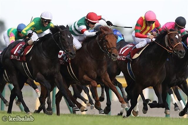 keibalab's tweet photo. #京王杯スプリングカップ #KeioHaiSpringCup #ムーンクエイク #Moonquake #クリストフルメール #藤沢和雄 #アドマイヤムーン #アドマイヤムーン #リッチダンサー #競馬 #keiba https://t.co/AQ8ujGROsH https://t.co/GlDxz2H0xv