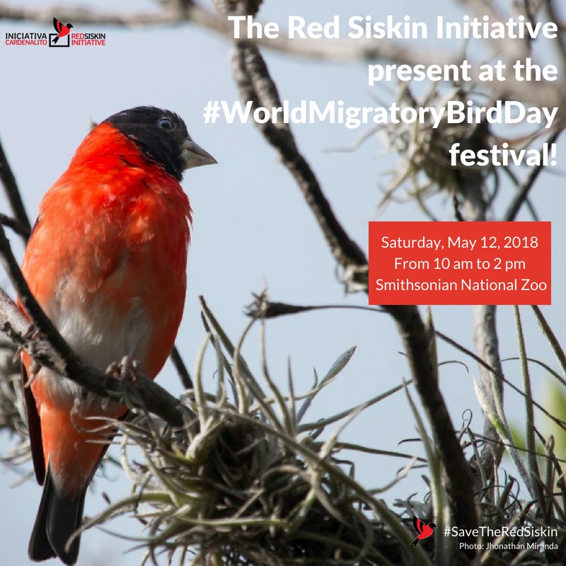 SaveRedSiskin's tweet photo. TODAY! The Red Siskin (@saveredsiskin) will be present at the #WorldMigratoryBirdDay. Join us at the @FONZNationalZoo, Washington, D.C, and find out more about the conservation work we do at the #RedSiskinInitiative #Provita #Smithsonian #Conservation https://t.co/LOdml2WfHl