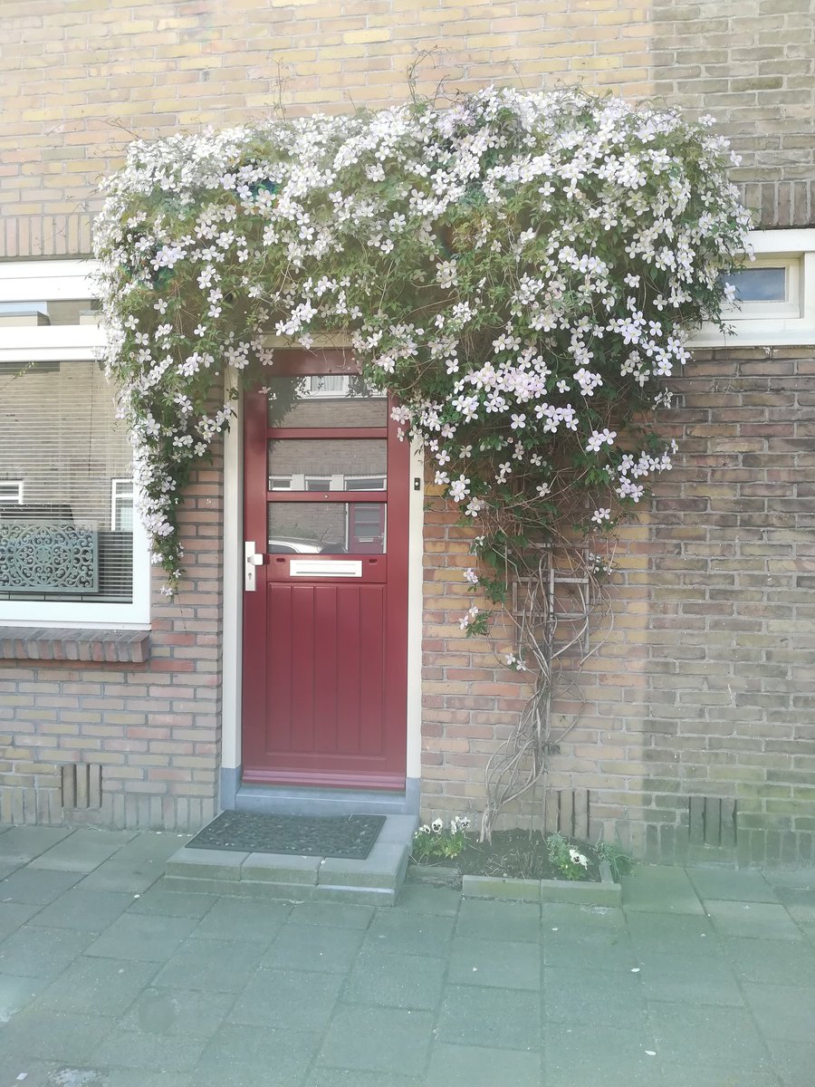 Het uiteindelijke resultaat van de tuingroep <a href="/elanwonen/">Elan Wonen</a> Gouwstraat. @bewonersparticipatie