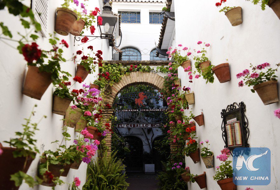 XHNews's tweet photo. Spain's #Cordoba is holding its #Courtyard Festival (#Patios2018), which will have this year's best after a competition https://t.co/mCYvrvhgrs
