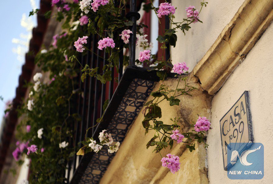 XHNews's tweet photo. Spain's #Cordoba is holding its #Courtyard Festival (#Patios2018), which will have this year's best after a competition https://t.co/mCYvrvhgrs