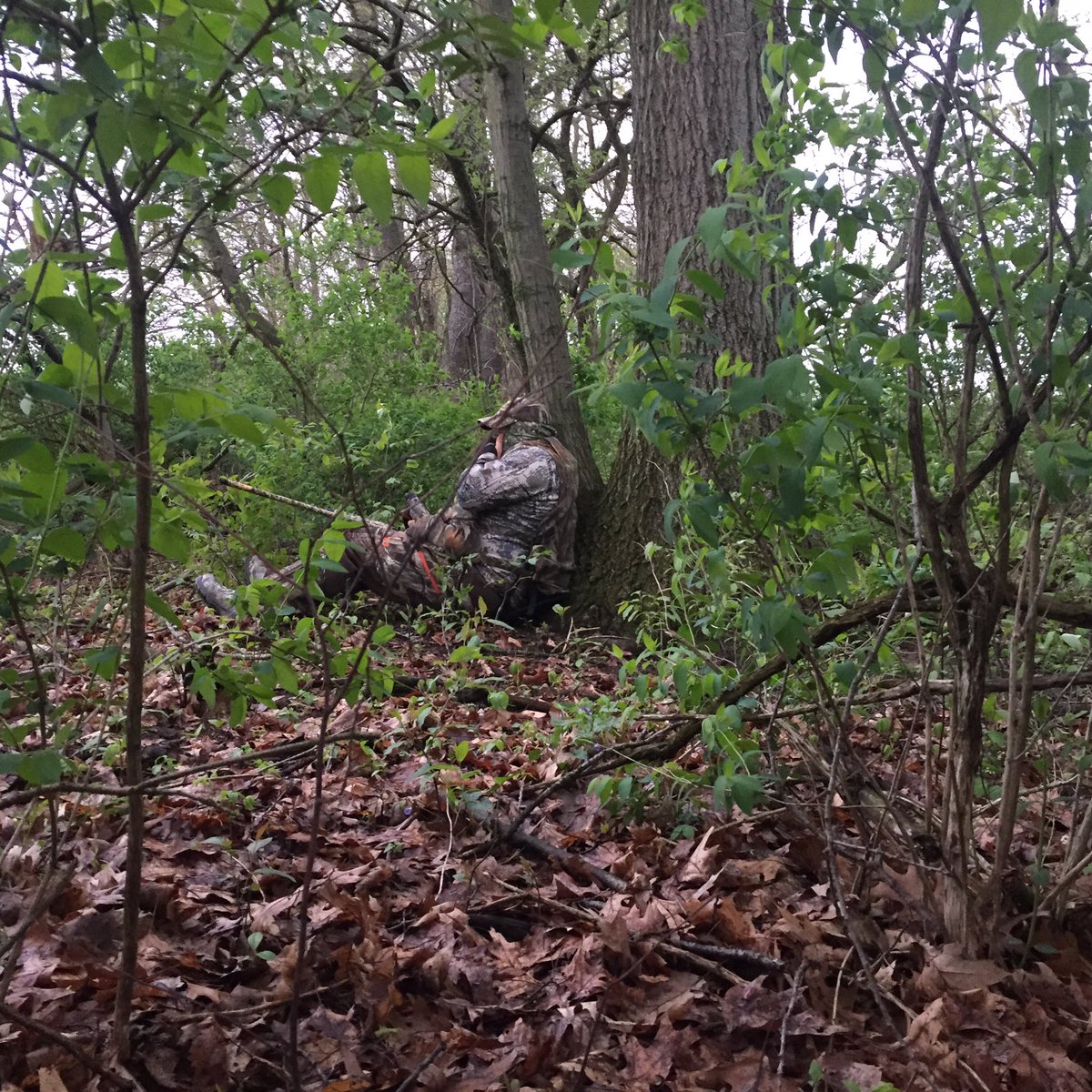 PangleJeff's tweet photo. Michigan turkey thugs! https://t.co/ek0Sa064lR