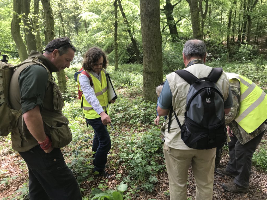 DiscoverDearne's tweet photo. A wonderful day for a woodland wildflower walk around Howell woods today. Lots of species for our list atleast 50+. https://t.co/gwH1iaOmvn