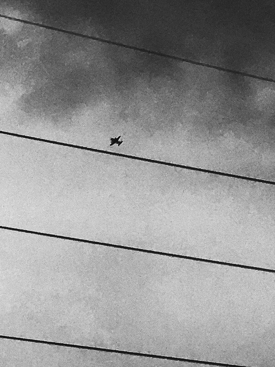 MessageManradio's tweet image. Моя компания на этот День Рождения.