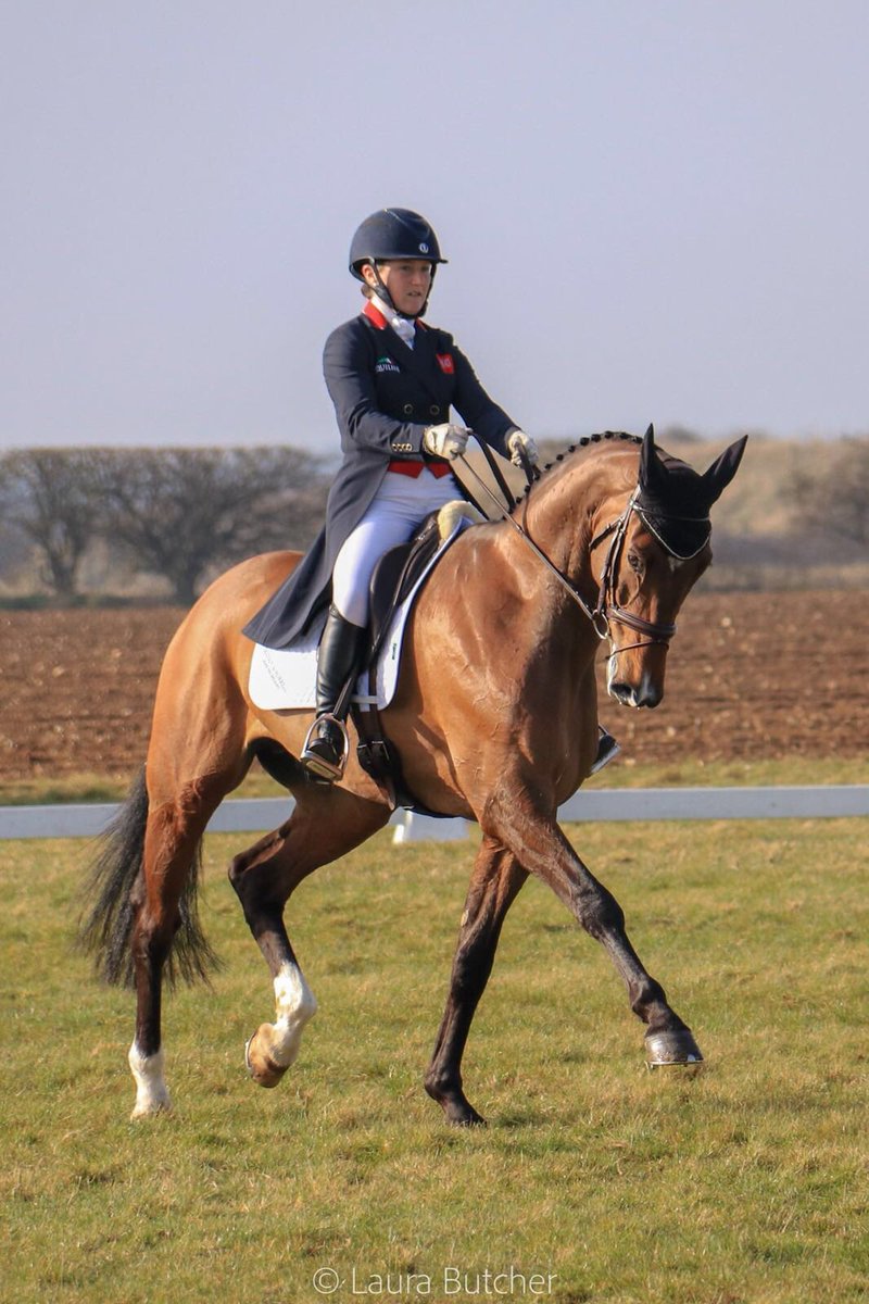MargoiGiblets's tweet photo. Wow! @CollettEventing and London 52 score 30.9 in their first 3* test, with many more marks to get in their changes. Serious horse for the future, one to watch @EquiRatings 😊Delighted for owners @KazBartlett and Keith Scott https://t.co/AD7JjsjI4P