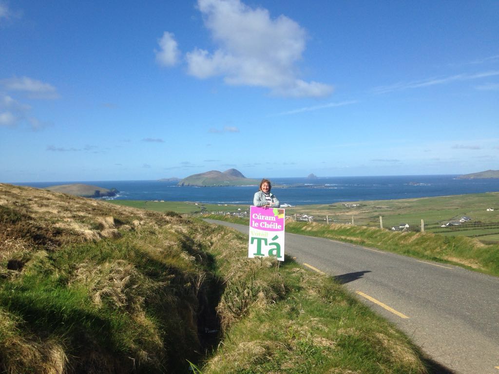 Aisghair an tOchtú Leasú.