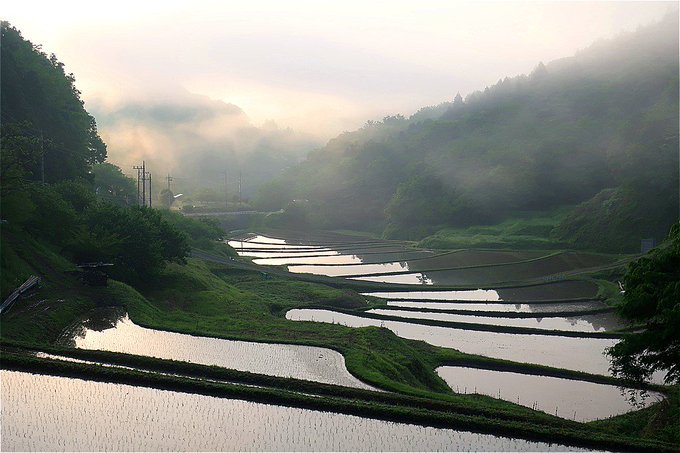 石畑の棚田のtwitterイラスト検索結果