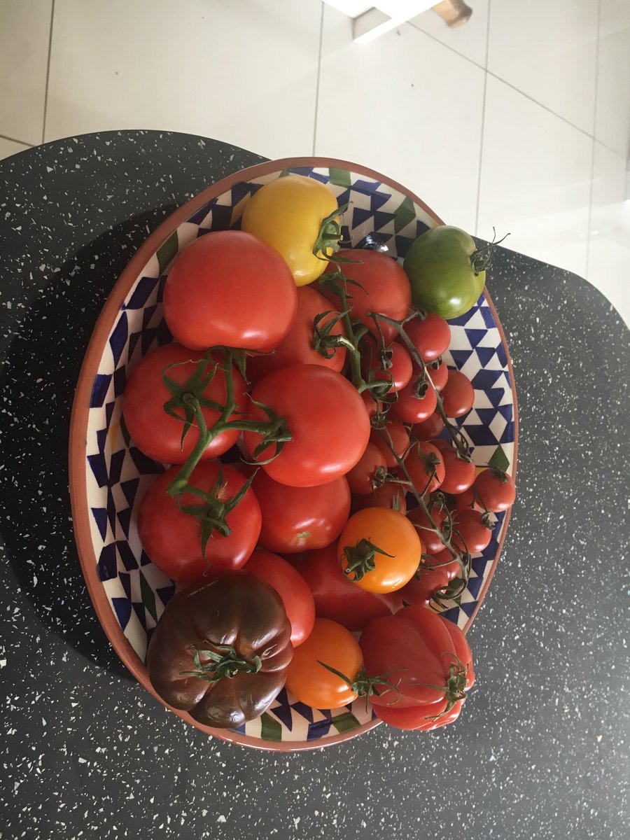 KerrymBrookes's tweet photo. @Jamie oliver lovely tomato salad later ? ! https://t.co/B1hoSjkRsH