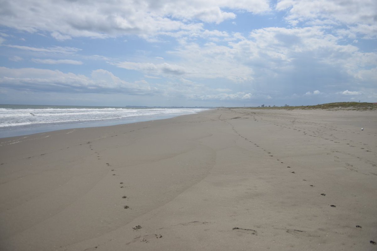 浜田翔子 九十九里浜 T Co Smheiafbkx Twitter