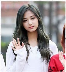 Twice好きと繋がりたいのtwitterイラスト検索結果