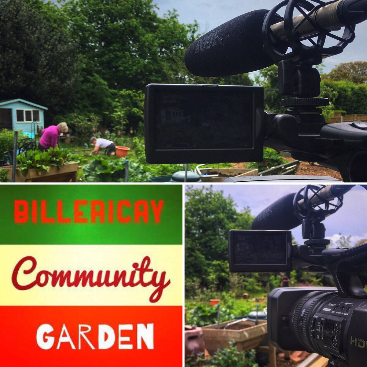 VERTEXpictures's tweet photo. We had a great morning at the @BillericayCG , truly a great community space for green fingered volunteers. 🎥🌳✊️🙂👍🏼#CapturingCommunuty https://t.co/Ub67b0Tl4f