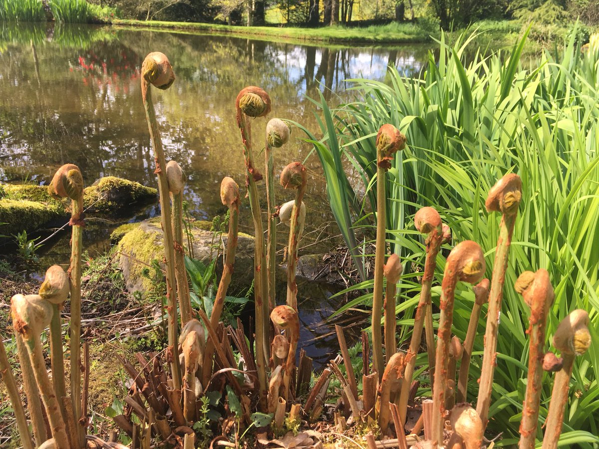 thegardenstudio tweet media
