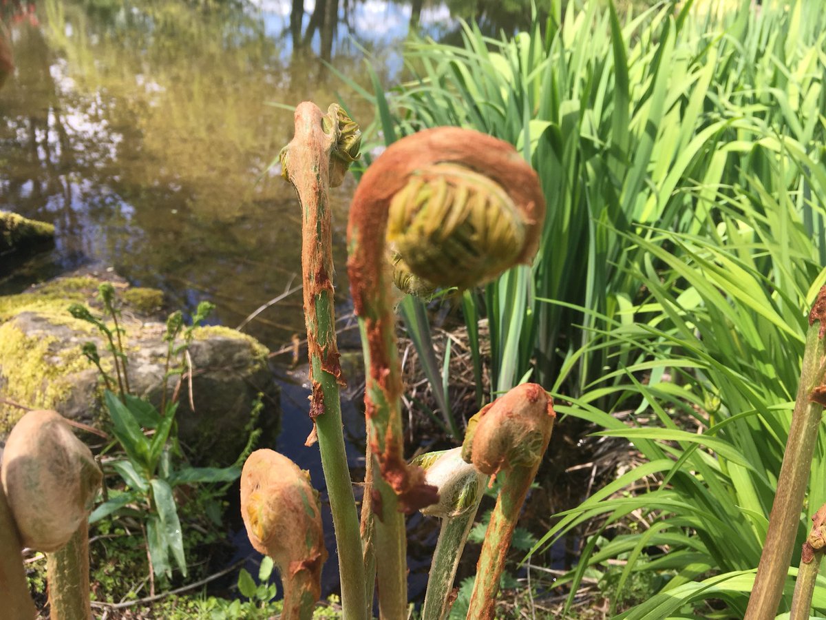 thegardenstudio tweet media