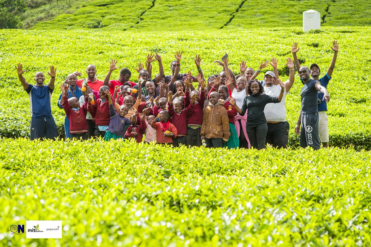 MitiAlliance's tweet photo. We did it in Aberdares. Together we can make a difference in our Beloved Nation Kenya. #PANDAMITI #PandaMitiPendaKenya @Environment_Ke #PandaMitiPendaKenya @KeForestService @NemaKenya @kwtaagency @PSCU_Digital @KAM_kenya @KEPSA_KENYA @Min_TourismKE @Environment_Ke @nicbankkenya https://t.co/xd1OdJjiHv