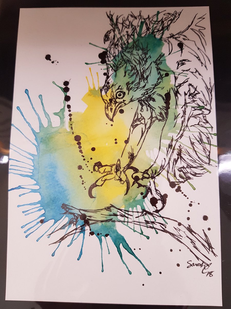 SarahC_Artist's tweet photo. #ospray #Cumbria #artforsale #whinlatter #crafturday #LakeDistrict #birds #colour #artistontwitter #NotJustLakes #wildlife at @FCWhinlatter https://t.co/BRQUy3LFC7