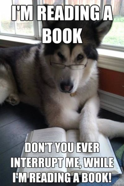 RumourReading's tweet image. #readingweekend