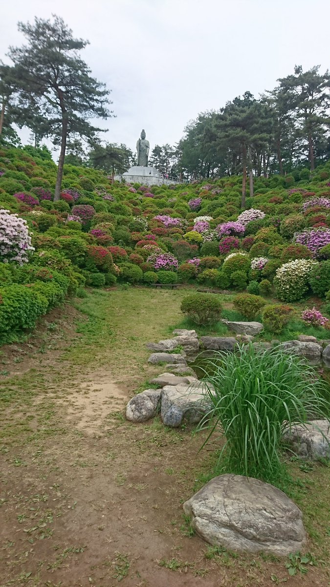 二本松寺 あじさいの杜 茨城県潮来市 先日 青梅市にある塩船観音寺のつつじまつりに行ってきました ピークは過ぎていましたが 十分楽しめました 次回はピークのときに行きたいと思います 塩船観音 つつじ つつじまつり 青梅市 観光 二本松寺 二本松寺 あじさいの杜 茨城県潮来市 先日 青梅市にある塩船観音寺のつつじまつりに行ってきました ピークは過ぎていましたが 十分楽しめました 次回はピークのときに行きたいと思います 塩船観音 つつじ つつじまつり 青梅市 観光 二本松寺