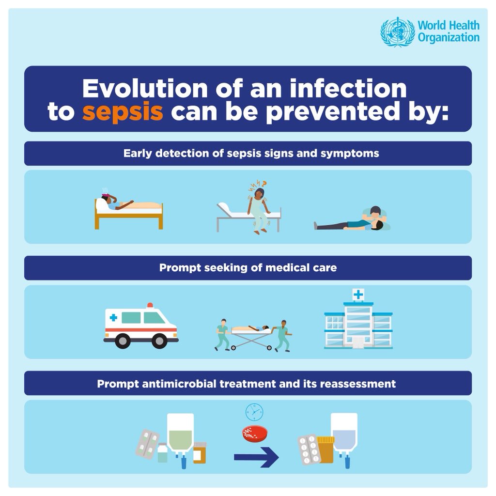 Инфографика по анатомии. World health organization history. Cancer risk. Many can be prevented. Blood cancer uk реклама.
