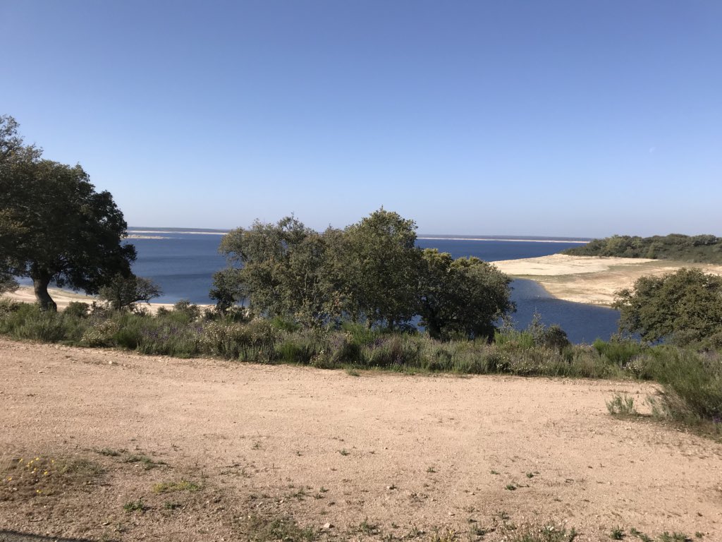 jmpasser71's tweet photo. @argusinovive El paisaje de la carrera está espectacular! https://t.co/ZgQuDofJBI