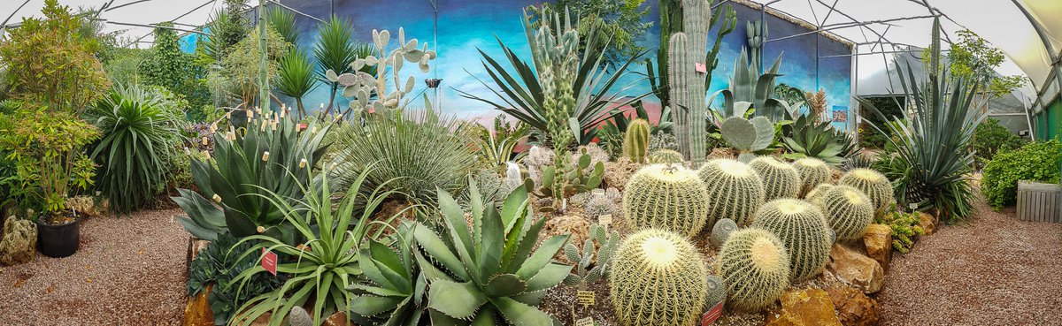Lullingstone's tweet photo. Let your hair down its the Bank Holiday weekend! We open at 12 noon today, horticulture and heritage delights to enjoy. Children can explore our Hot &amp; Spiky hot house, woodland walk and we are 'ice cream' ready for our mini heatwave! #BankHolidayWeekend https://t.co/FOeQ3cXbvn