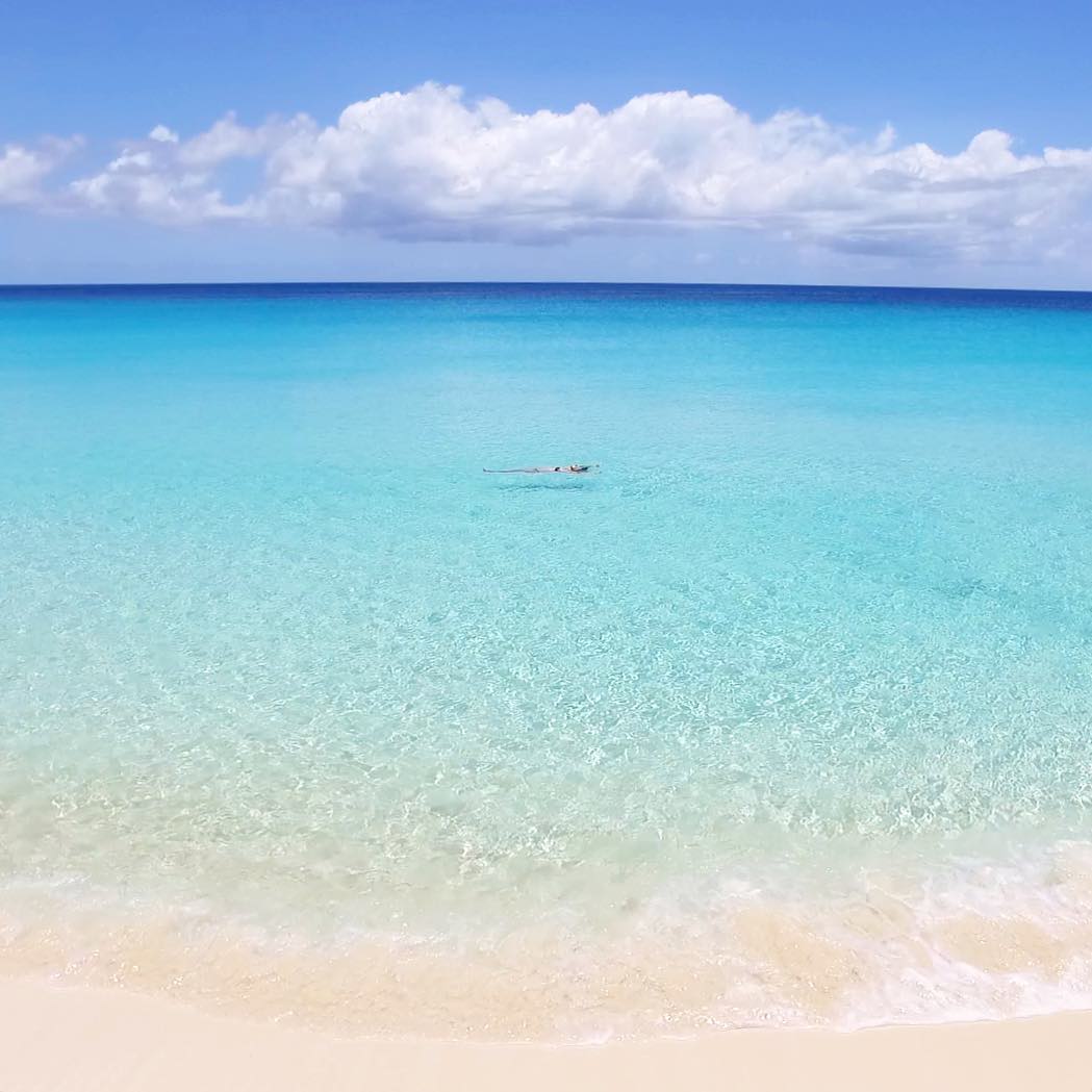 SpiaggeDaSogno's tweet photo. Anguilla, Mar dei #Caraibi ☀️🏝️

📸 anguillabeaches https://t.co/D3HWdeLetR