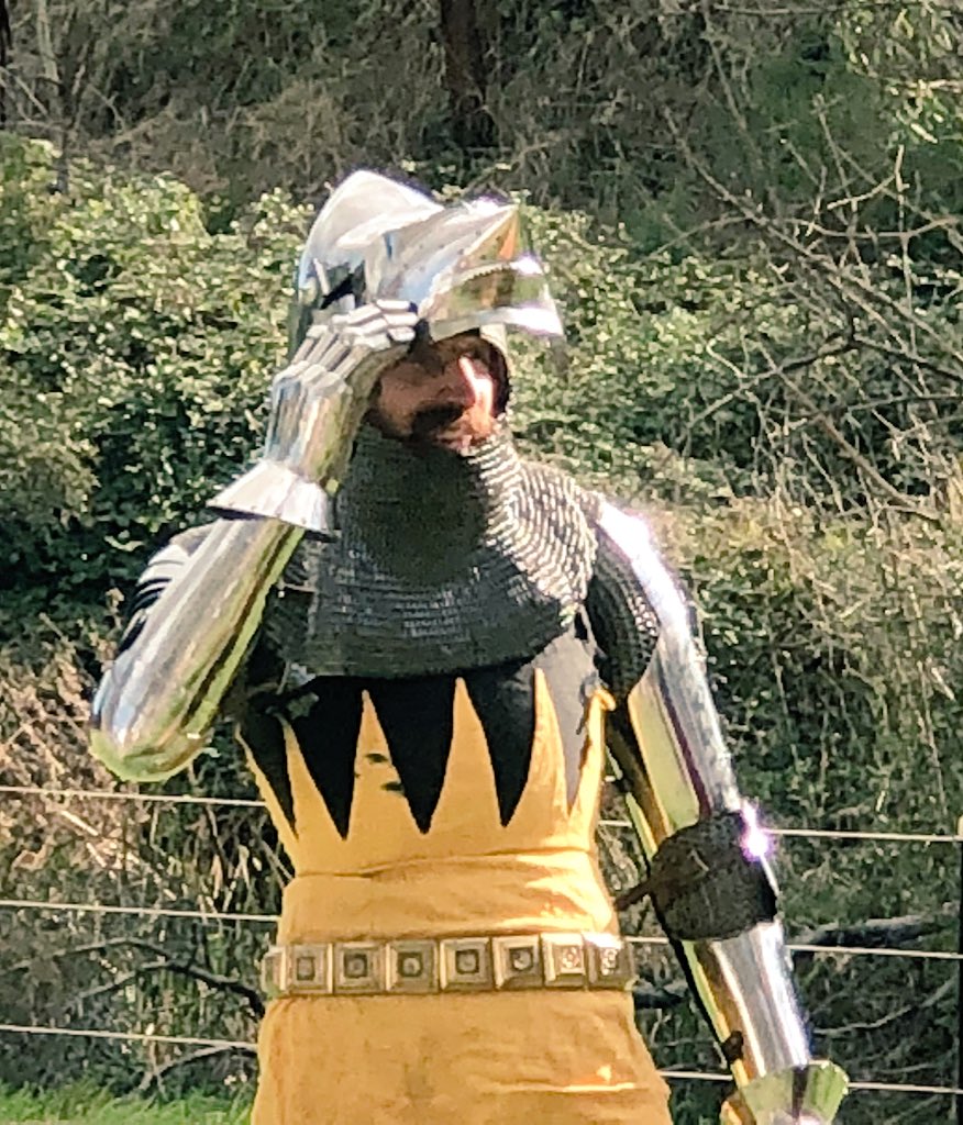 MshellW's tweet photo. The King’s Horses at the #Gumeracha #medieval Fair #Adelaide today. https://t.co/xYkt2mIiva